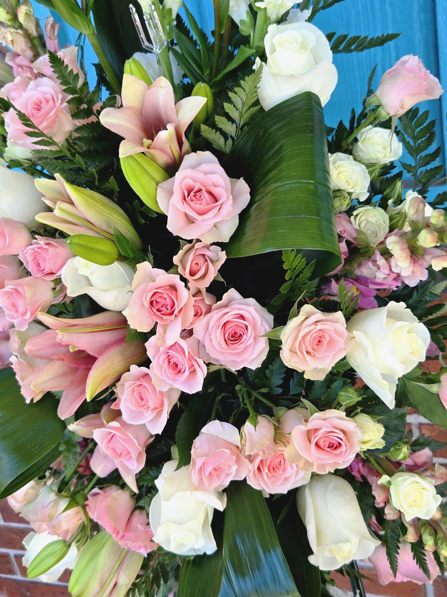 Passionate Pink Standing Spray