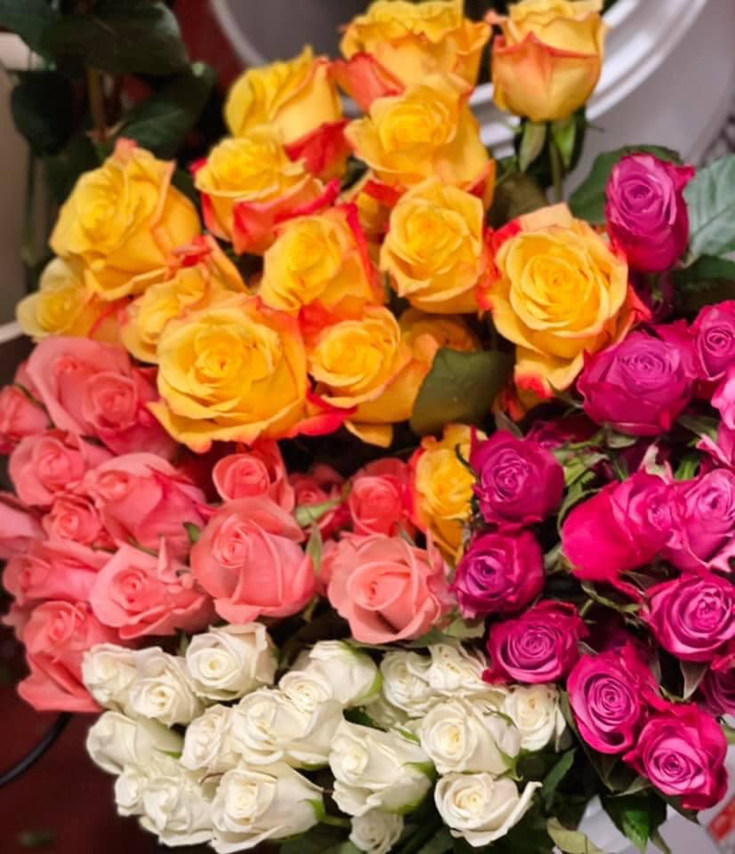 Dozen Roses Bouquet - Standard