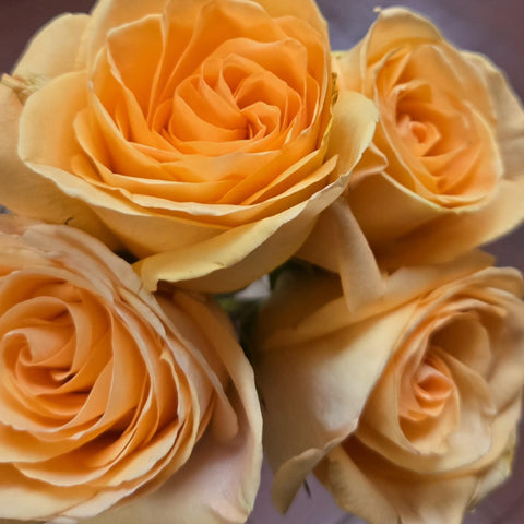 Dozen Roses in a Basket