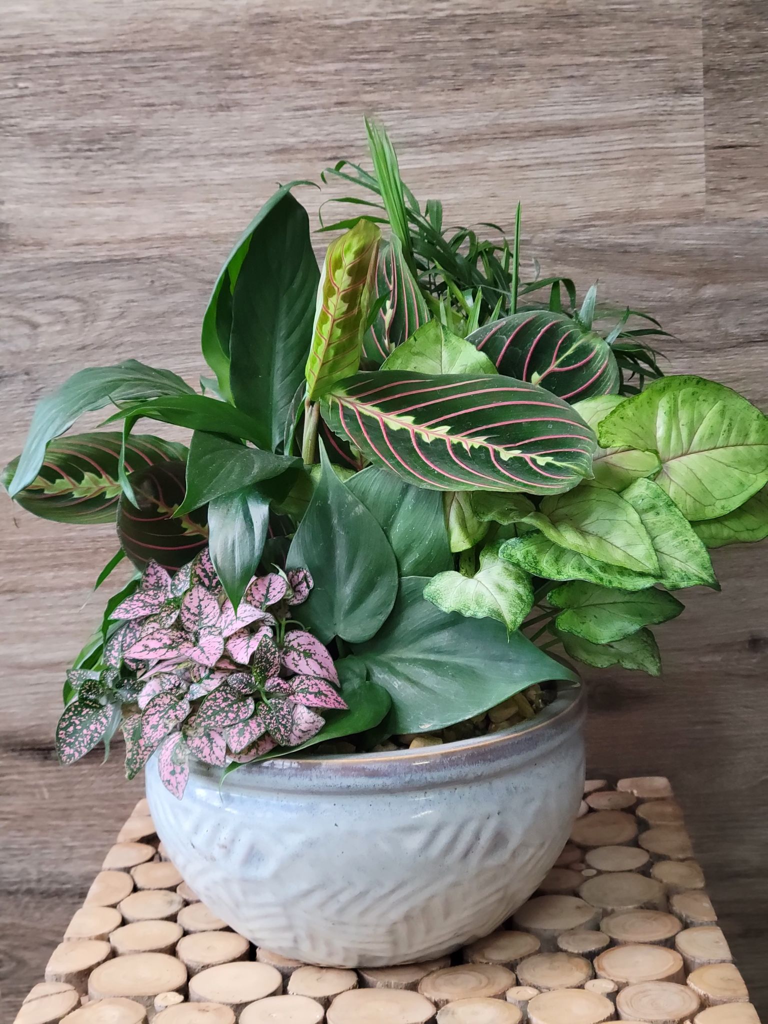 Dish Gardens in a Ceramic Container