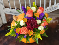 Autumn Harvest Pumpkin