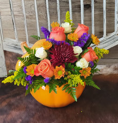 Autumn Harvest Pumpkin