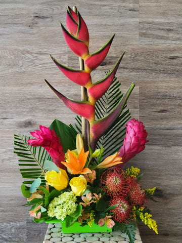 Tropical Paradise